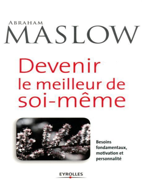 Devenir le meilleur de soi-même Besoins fondamentaux, motivation et personnalité (ED ORGANISATION)