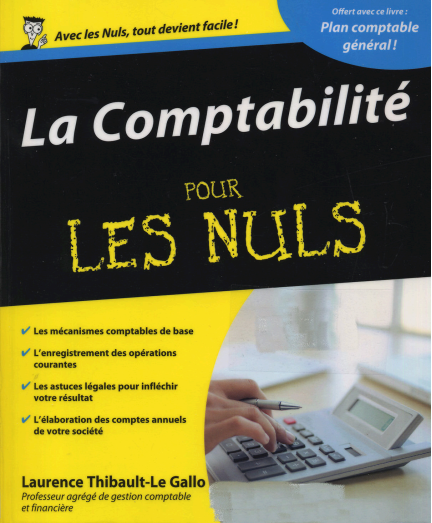 La comptabilité pour les nuls